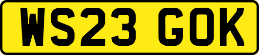 WS23GOK