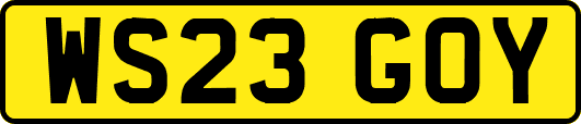 WS23GOY