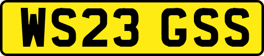 WS23GSS