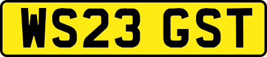 WS23GST