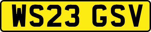 WS23GSV