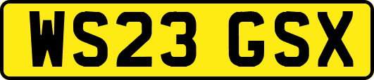 WS23GSX