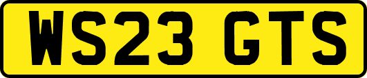 WS23GTS