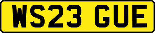 WS23GUE