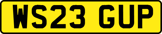 WS23GUP