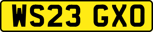 WS23GXO