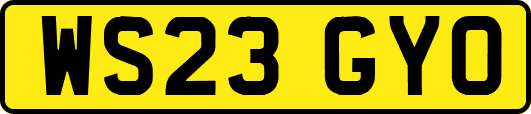 WS23GYO