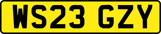 WS23GZY