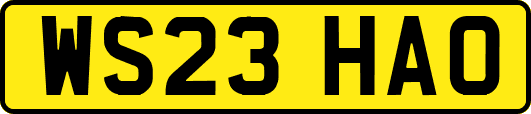 WS23HAO