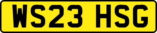 WS23HSG