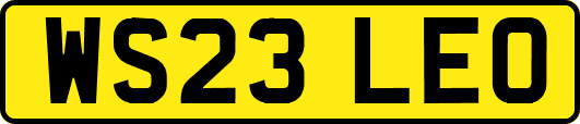 WS23LEO