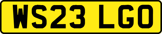 WS23LGO