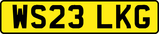 WS23LKG