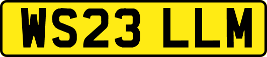 WS23LLM