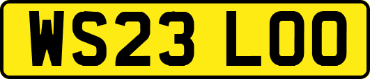WS23LOO