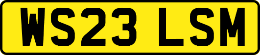 WS23LSM