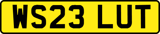 WS23LUT