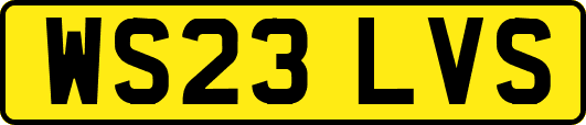 WS23LVS