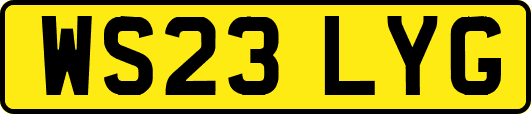 WS23LYG