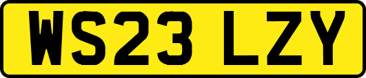 WS23LZY