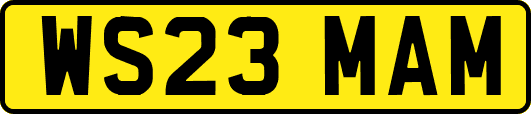 WS23MAM