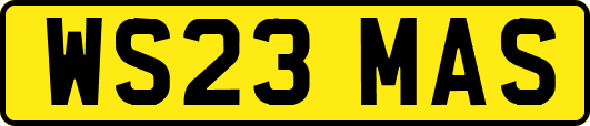WS23MAS