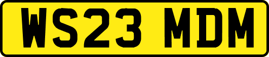 WS23MDM