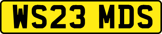 WS23MDS