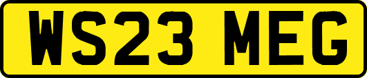 WS23MEG