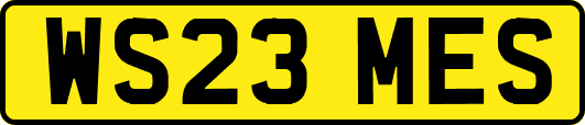 WS23MES