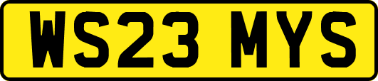 WS23MYS
