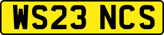 WS23NCS