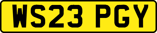 WS23PGY