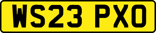 WS23PXO