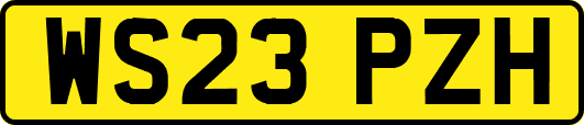 WS23PZH