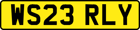 WS23RLY