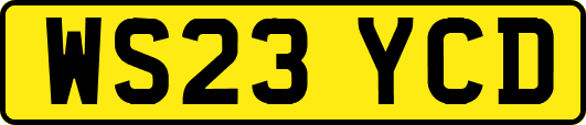 WS23YCD