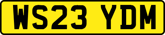 WS23YDM