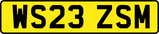 WS23ZSM