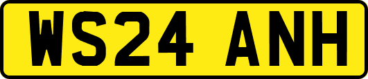 WS24ANH