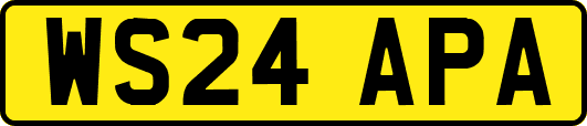 WS24APA