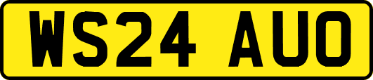WS24AUO