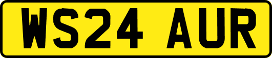 WS24AUR