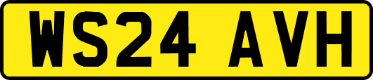 WS24AVH