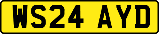 WS24AYD