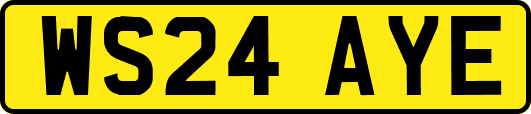 WS24AYE