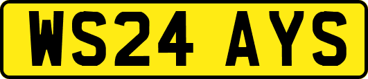 WS24AYS