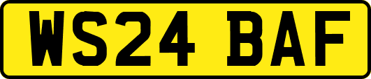WS24BAF