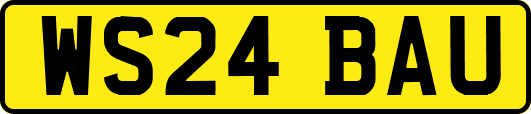 WS24BAU