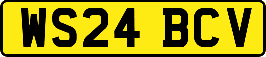 WS24BCV